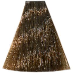 Купить Hair Company Professional Стойкая крем-краска Crema Colorante 7.3 русый золотистый 100 мл, Hair Company Professional (Италия)