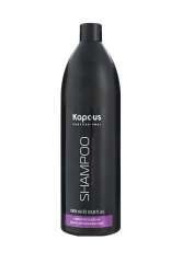 Kapous Professional Шампунь для окрашенных волос 1000 мл Kapous Professional (Россия) купить по цене 619 руб.