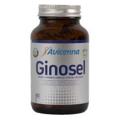 Avicenna Омега-3 - Комплекс Ginosel для активности мозга 60 капсул Avicenna (Турция) купить по цене 2 150 руб.