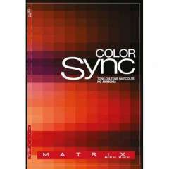 Matrix Color Sync - Карта прядей на продажу Matrix (США) купить по цене 3 970 руб.